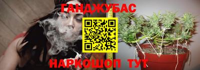гидра Жуковский