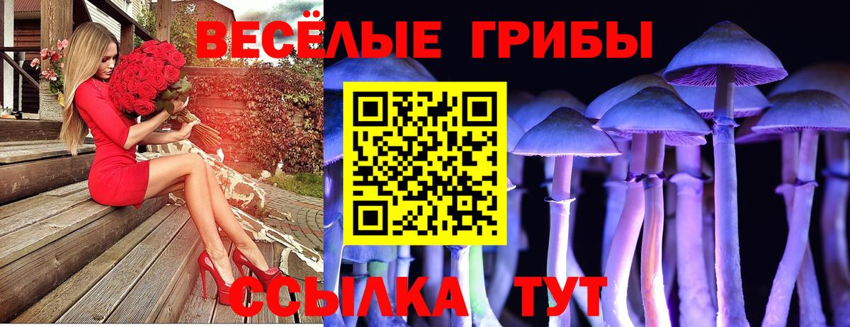 Галлюциногенные грибы мухоморы  купить  цена  Людиново  Вход с VPN  Псилоцибиновые грибы ЛСД 